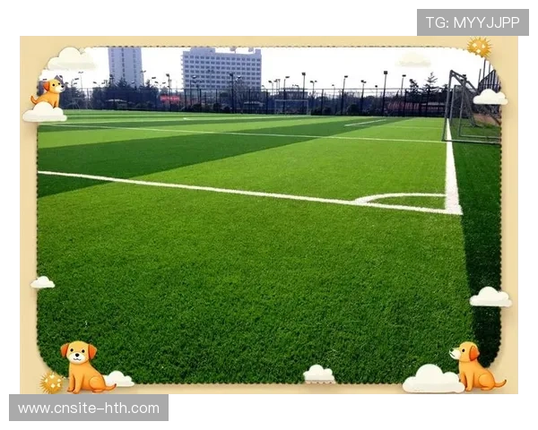 德甲联赛球场草坪质量成为球队主场重要变量，欧盟足球草坪多少钱